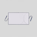 Goldenrod and Queen Anne's Lace