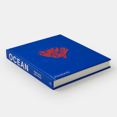 Ocean: Exploring the Marine World