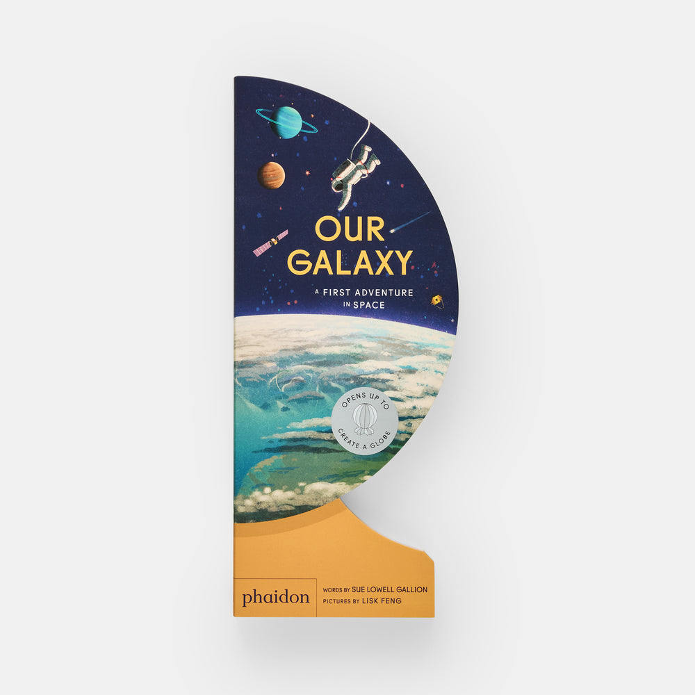 Our Galaxy