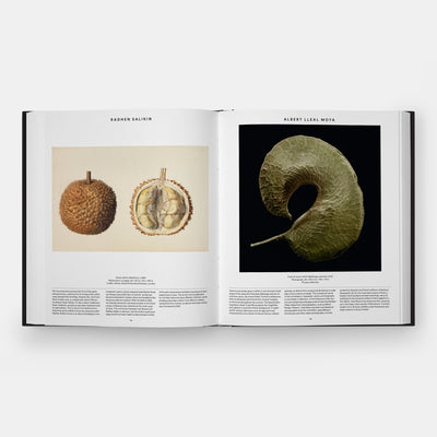 Plant: Exploring the Botanical World, Compact Format