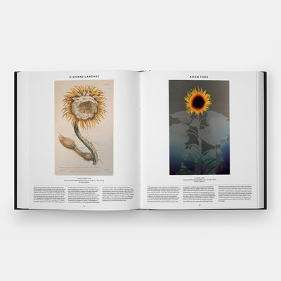 Plant: Exploring the Botanical World, Compact Format