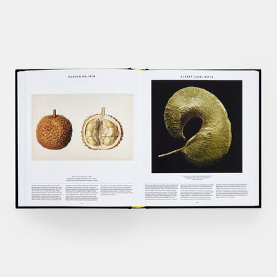 Plant: Exploring the Botanical World, Compact Format