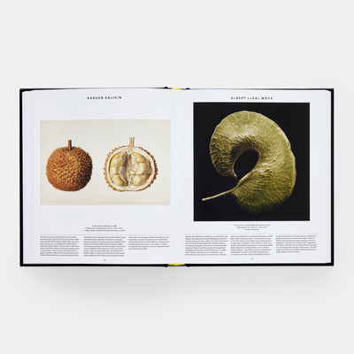 Plant: Exploring the Botanical World