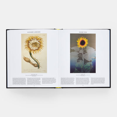 Plant: Exploring the Botanical World, Compact Format