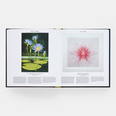 Plant: Exploring the Botanical World