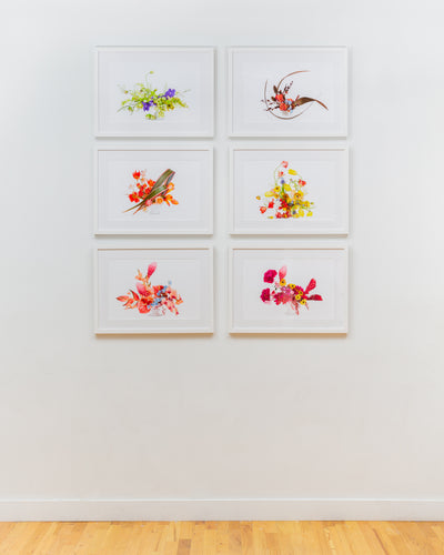 Flower Color Theory