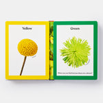 Rainbows in Bloom: Discovering Colours with Flowers