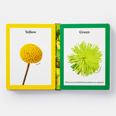 Rainbows in Bloom: Discovering Colours with Flowers