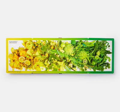 Rainbows in Bloom: Discovering Colours with Flowers