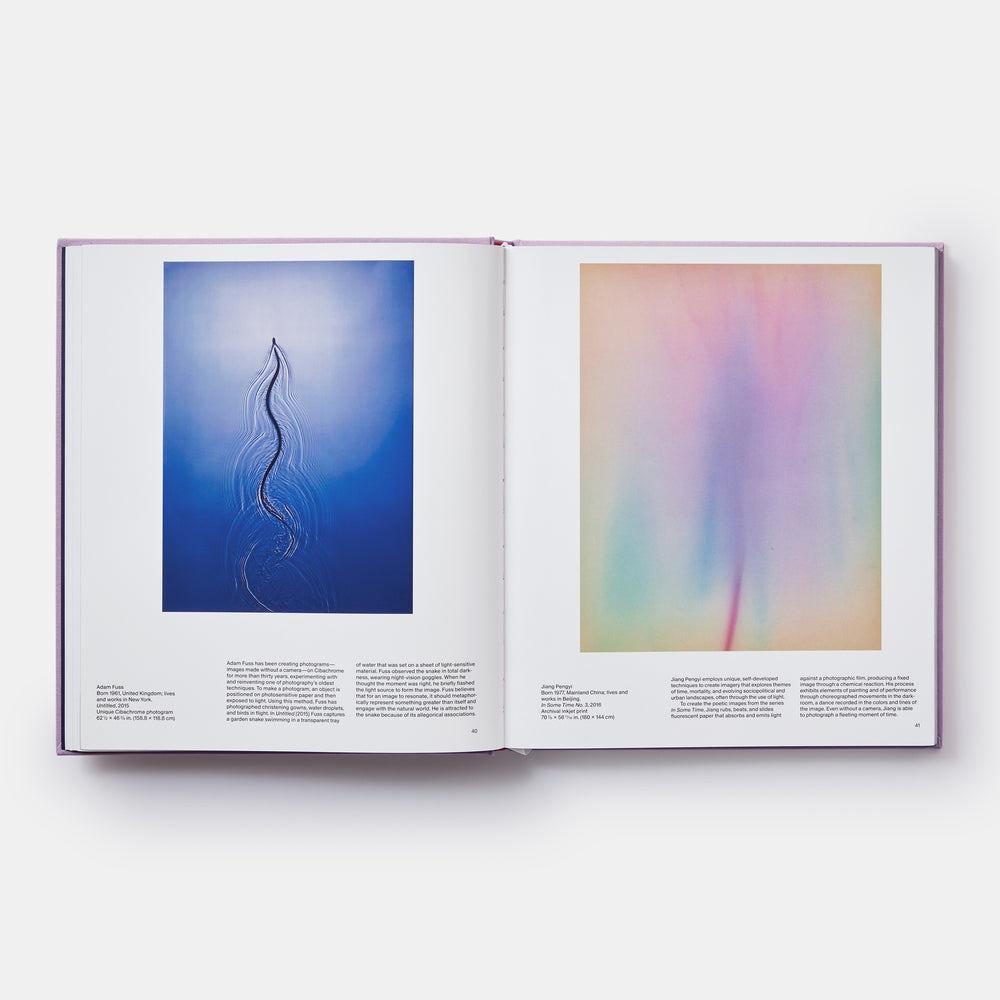 Reimagining New Perspectives: The Latest Acquisitions by the UBS Art Collection