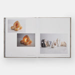 Rogan Gregory: Event Horizon