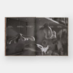 Rogan Gregory: Event Horizon