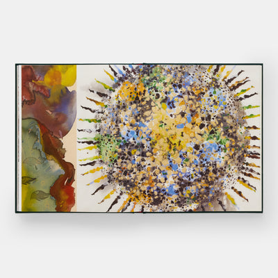 Shahzia Sikander: Collective Behavior