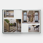 Shahzia Sikander: Collective Behavior