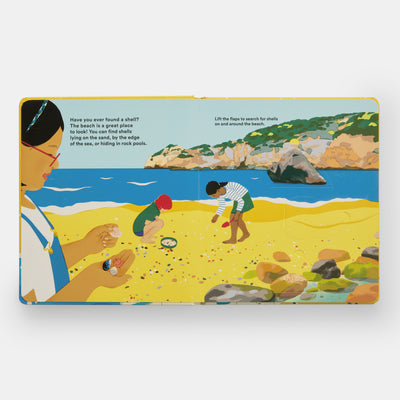 Shells... and what they hide inside: A Lift-the-Flap Adventure