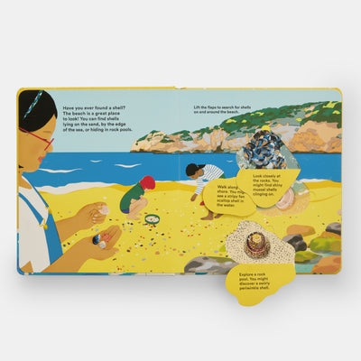 Shells... and what they hide inside: A Lift-the-Flap Adventure