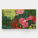 Shells... and what they hide inside: A Lift-the-Flap Adventure