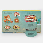 Shells... and what they hide inside: A Lift-the-Flap Adventure