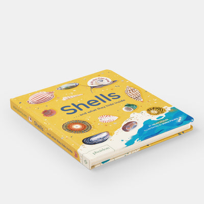 Shells... and what they hide inside: A Lift-the-Flap Adventure