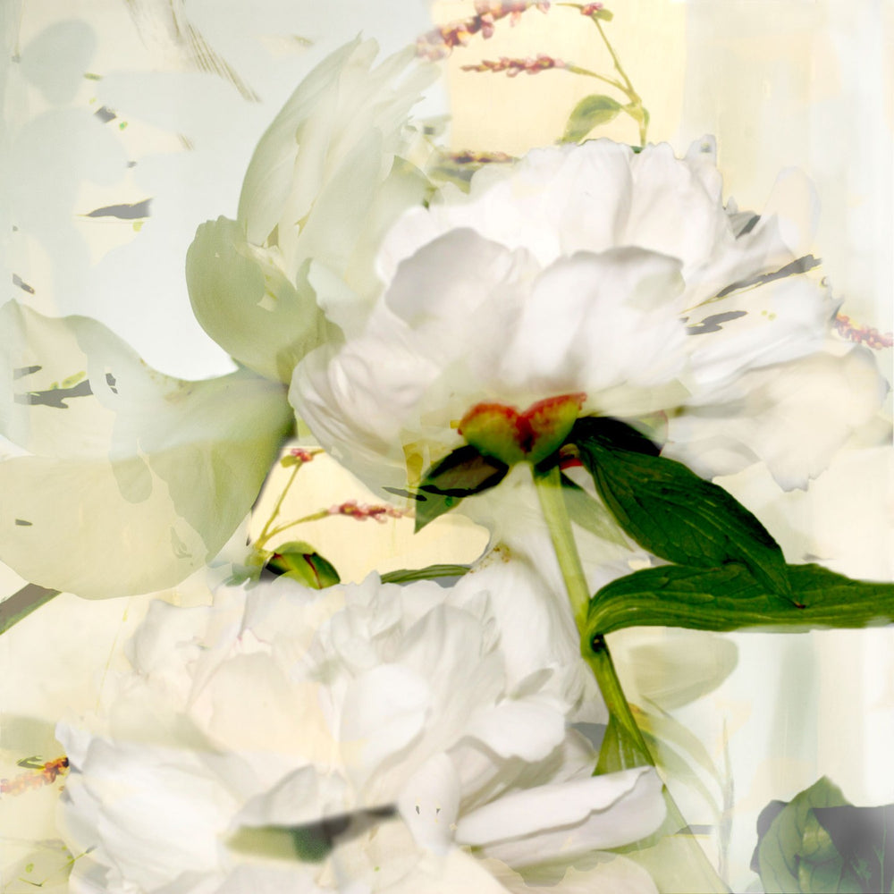 Poetry of Petals #4
