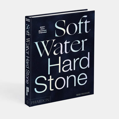 Soft Water Hard Stone: 2021 New Museum Triennial