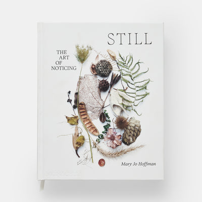 STILL: The Art of Noticing
