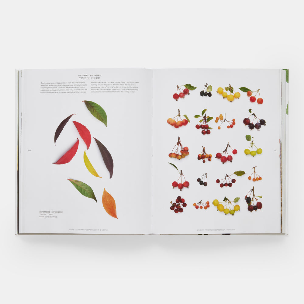 STILL: The Art of Noticing