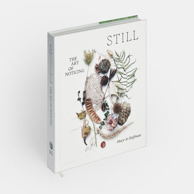 STILL: The Art of Noticing