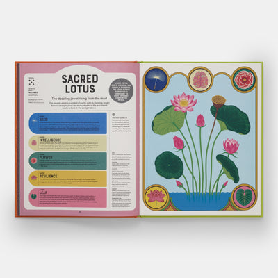 Superpowered Plants: Meet the Smartest, Strongest, and Sneakiest Plants