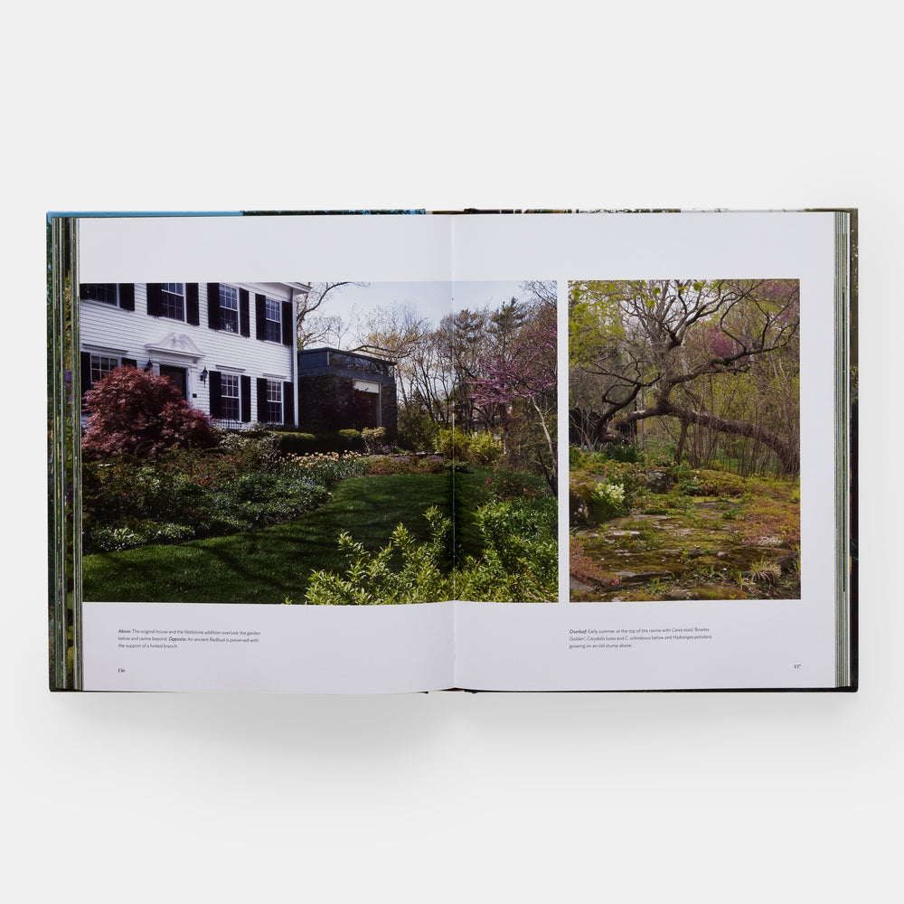 The Art of Fine Gardening: Craig Bergmann Landscape Design