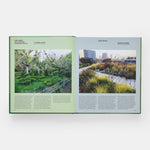 The Contemporary Garden