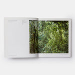 The Nature of Photographs