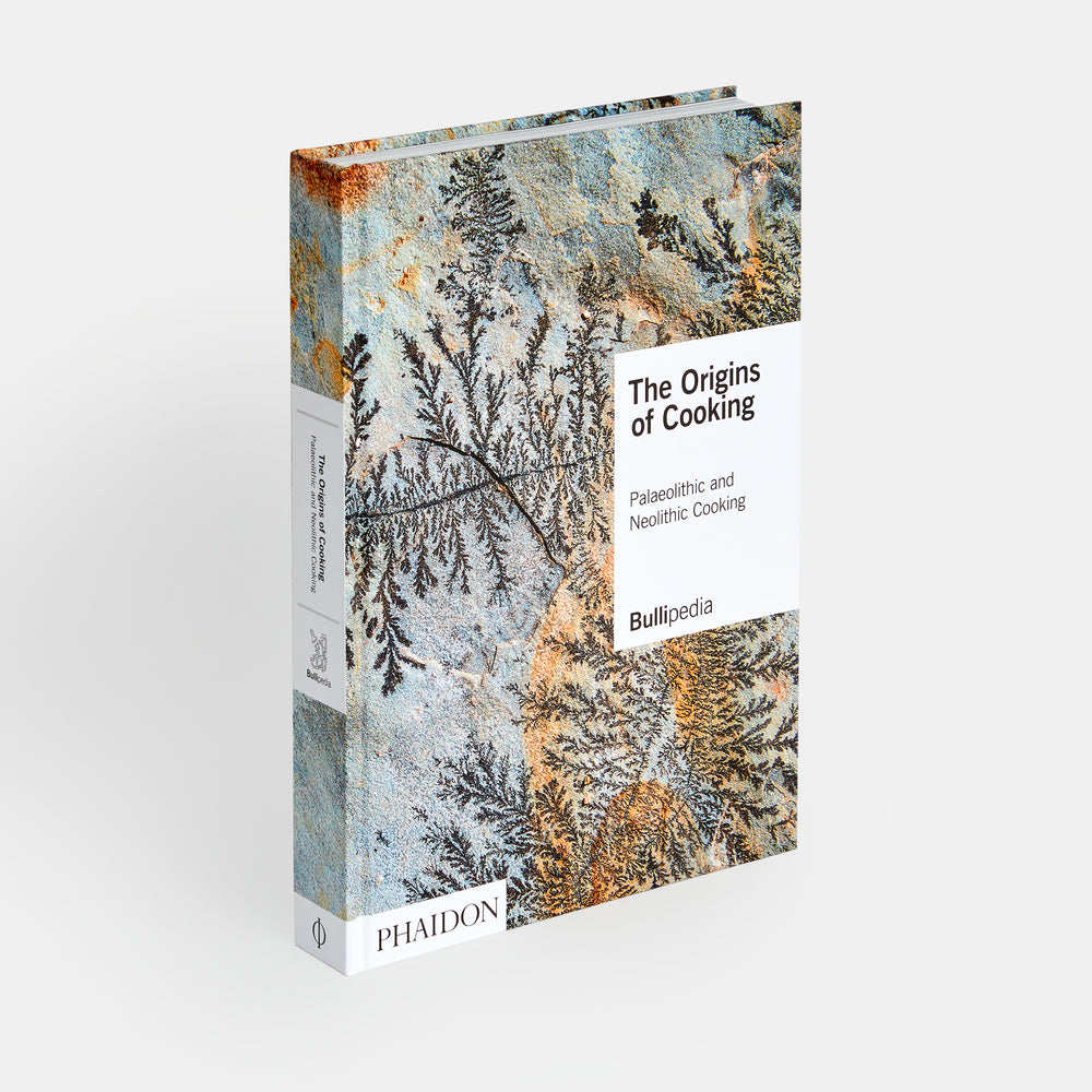 The Origins of Cooking: Palaeolithic and Neolithic Cooking