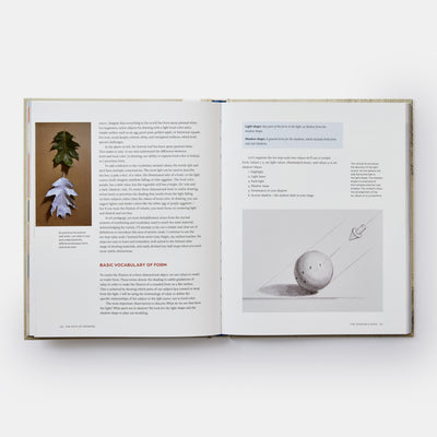 The Path of Drawing: Lessons for Everyday Creativity and Mindfulness