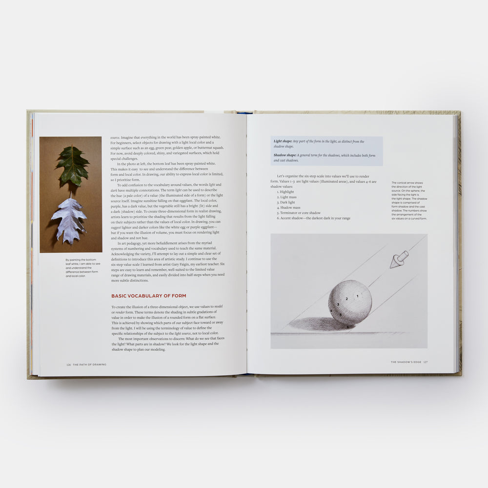 The Path of Drawing: Lessons for Everyday Creativity and Mindfulness