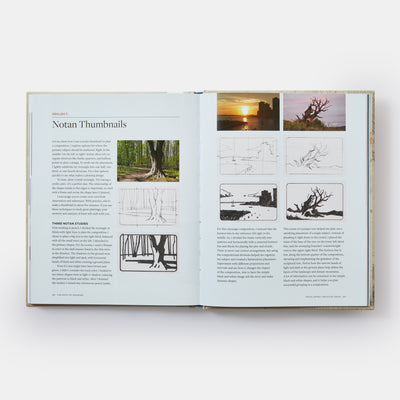 The Path of Drawing: Lessons for Everyday Creativity and Mindfulness