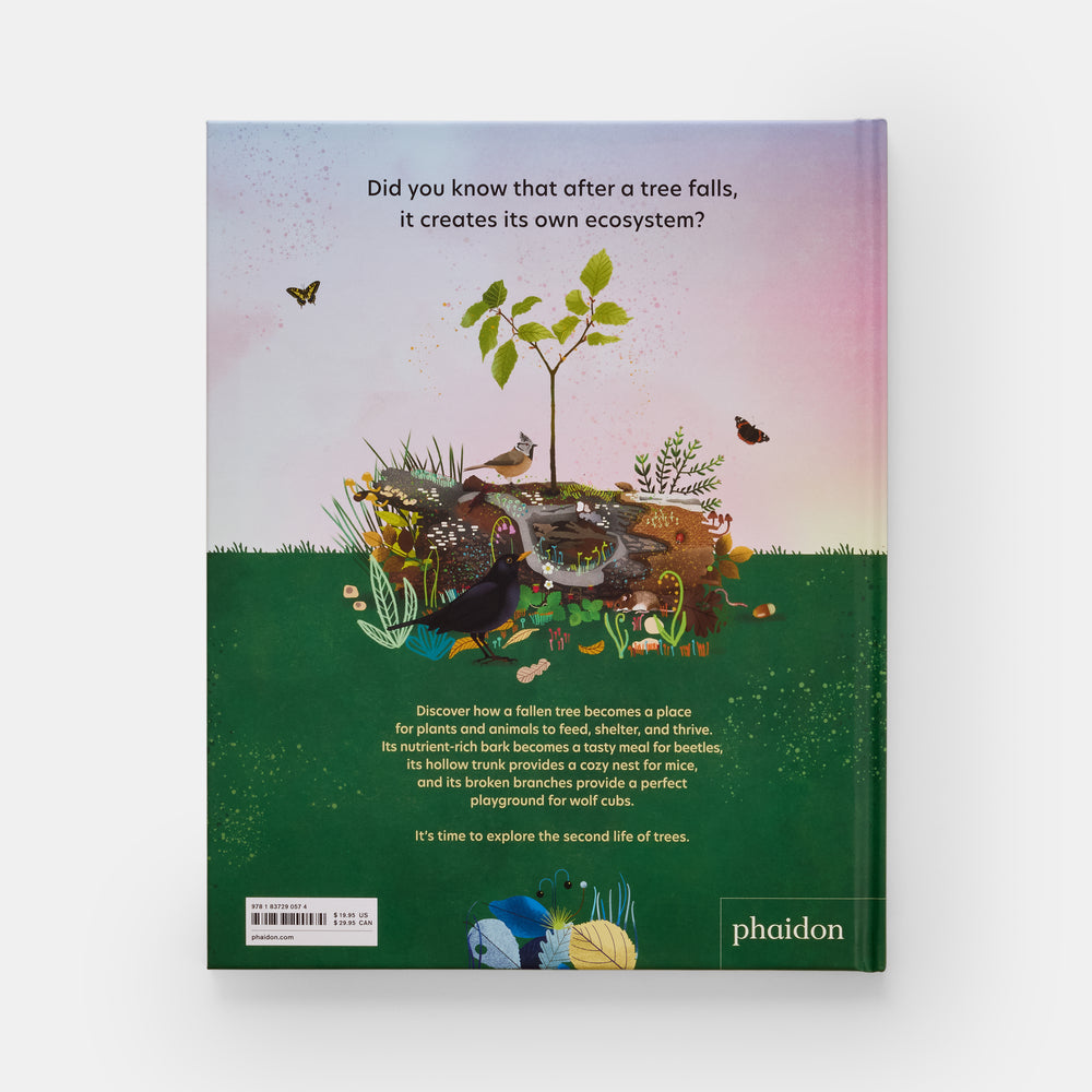 The Tomorrow Tree: How Nature Creates New Life From Old