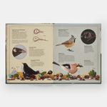 The Tomorrow Tree: How Nature Creates New Life From Old