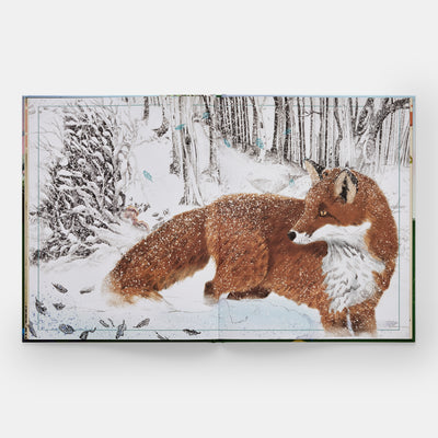 The Tomorrow Tree: How Nature Creates New Life From Old