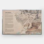 The Tomorrow Tree: How Nature Creates New Life From Old