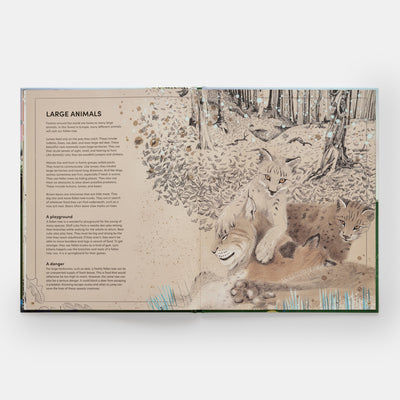 The Tomorrow Tree: How Nature Creates New Life From Old