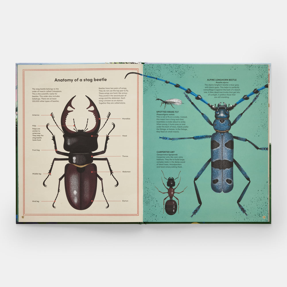 The Tomorrow Tree: How Nature Creates New Life From Old