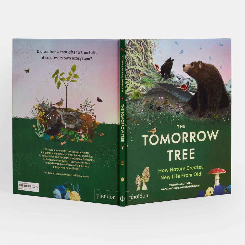 The Tomorrow Tree: How Nature Creates New Life From Old