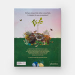 The Tomorrow Tree: How Nature Creates New Life From Old