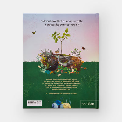 The Tomorrow Tree: How Nature Creates New Life From Old