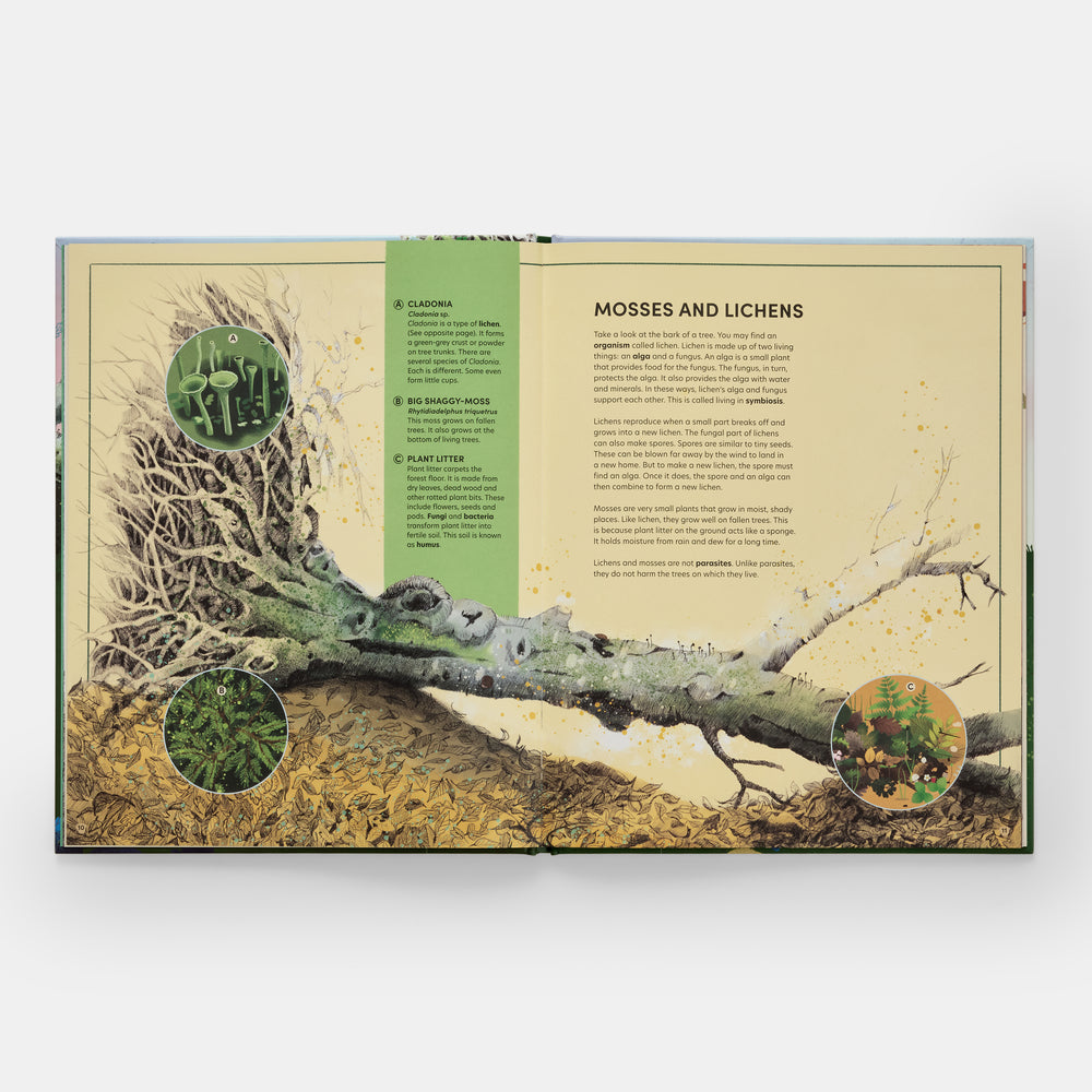 The Tomorrow Tree: How Nature Creates New Life From Old interior spread 2