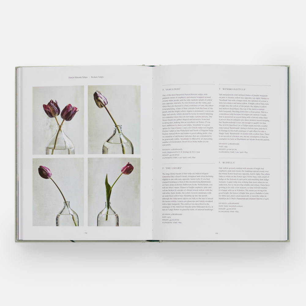 The Tulip Garden: Growing and Collecting Species, Rare and Annual Varieties