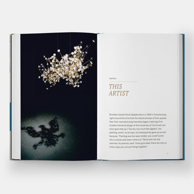 This Land: An Epic Postcard Mural on the Future of a Country in Ecological Peril