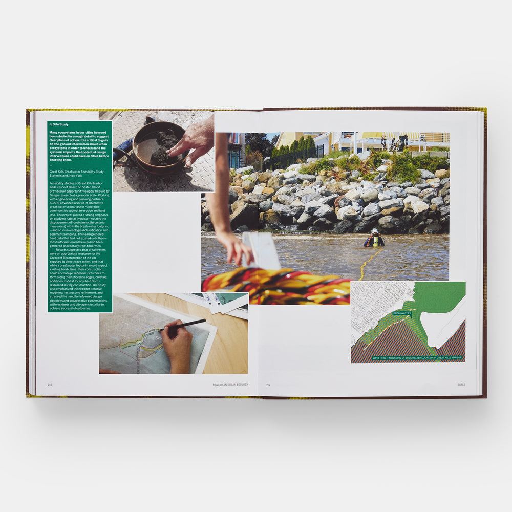 Toward an Urban Ecology