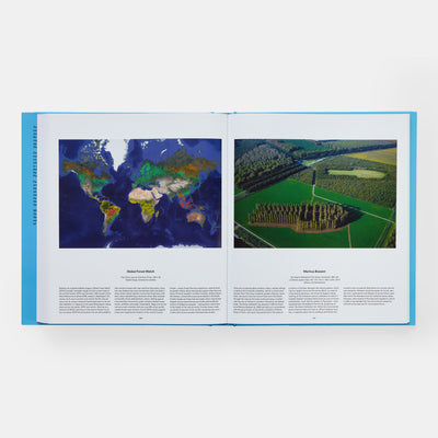 Tree: Exploring the Arboreal World
